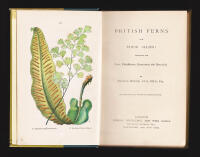 British Ferns and their Allies: Comprising the Ferns, Club-Mosses, Pepperworts and Horsetails by Thomas Moore