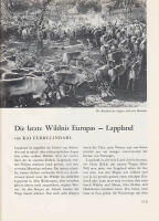 Die letze Wildnis Eoropa - Lappland