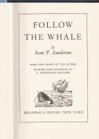 Follow the Whale