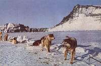 Antarktisboken. Med Norsel till Maudheim och Antarktis. Den norsk-brittisk-svenska vetenskapliga expeditionen till Antarktis 1949-1952