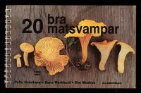 20 bra matsvampar
