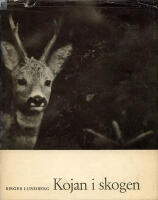 Kojan i skogen