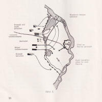 I Narvas anda. En kort orientering om svensk taktik i ord och bild
