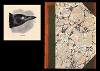 Vilda djur som jag k&auml;nt. I-II