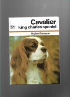 Cavalier King Charles spaniel