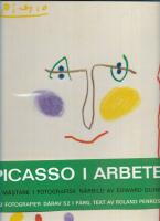 Picasso i arbete : en m&auml;stare i fotografisk n&auml;rbild 