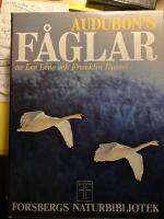 Audubon's f&aring;glar