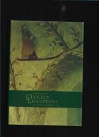 Diocesis Lincopensis : historik &ouml;ver Link&ouml;pings stift