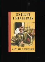 Snillet i Menlo Park : Thomas Alva Edison