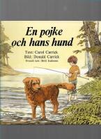En pojke och hans hund : olyckan