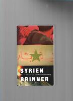Syrien brinner : hur revolutionen mot Assad blev ett inb&ouml;rdeskrig