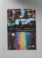 Ett delat samh&auml;lle : makt, intersektionalitet och social skiktning