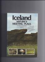 Iceland : nature's meeting place