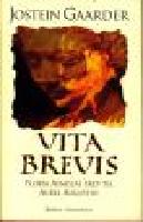 Vita brevis : Floria Aemilias brev til Aurel Augustin : roman