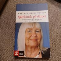 Sj&auml;lvk&auml;nsla p&aring; djupet : en terapi f&ouml;r att reparera negativa sj&auml;lvbilder