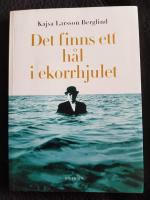 Det finns ett h&aring;l i ekorrhjulet : P&aring; jakt efter balans i livet