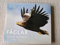 F&aring;glar : magiska &ouml;gonblick
