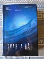 Svarta hål : teorierna, upptäckterna, människorna