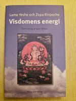 Visdomens energi