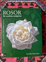 Rosor f&ouml;r nordiska tr&auml;dg&aring;rdar  Kl&auml;tterrosor Rabattrosor