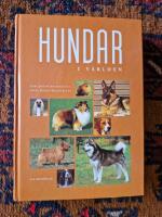 Hundar i v&auml;rlden