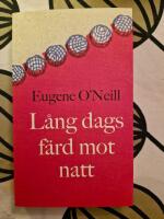 L&aring;ng dags f&auml;rd mot natt