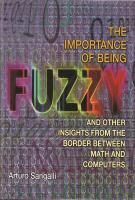 The Importance of Being Fuzzy and other insights from the border between math and computers