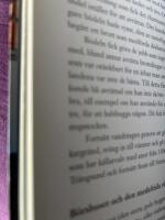 K&auml;rlek, mystik och ond br&aring;d d&ouml;d : historiska temavandringar i Stockholm