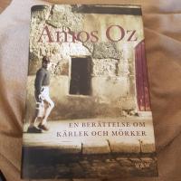 En ber&auml;ttelse om k&auml;rlek och m&ouml;rker