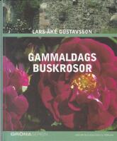 Gammaldags buskrosor