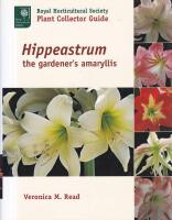 Hippeastrum - the gardener's amaryllis