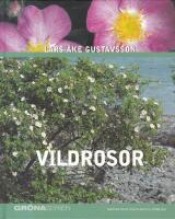 Vildrosor