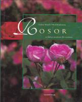 Rosor