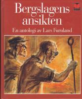Bergslagens ansikten : fr&aring;n Olaus Magnus och Linn&eacute; till Stig Sj&ouml;din och Lars Gustafsson : en antologi