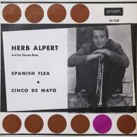 Spanish flea / Cinco de Mayo