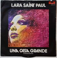 Una casa grande / Quel che ho fatto io