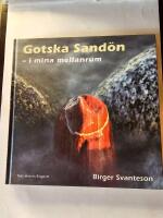 Gotska Sand&ouml;n : i mina mellanrum