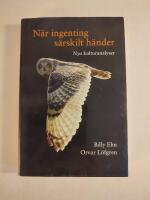 N&auml;r ingenting s&auml;rskilt h&auml;nder : nya kulturanalyser