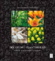 Din guide i plantskolan
