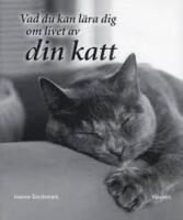 Vad du kan l&auml;ra dig om livet av din katt