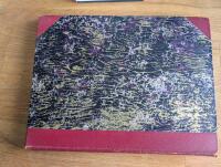 Rembrandts m&aring;lningar. Ett urval ut givet av ...