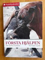 F&ouml;rsta hj&auml;lpen : N&auml;r olyckan &auml;r framme