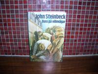 Buss p&aring; villov&auml;gar