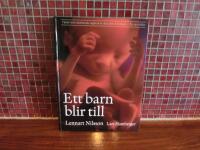 Ett barn blir till