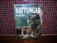 Kattungar