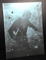 Reflektioner av regiss&ouml;ren Filmkonst nr 110