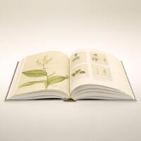 Blomboken : bilder ur Olof Rudbecks stora botaniska verk