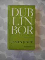 Dublinbor