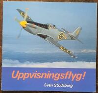 Uppvisningsflyg!