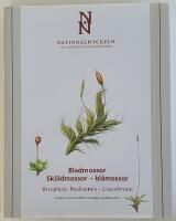 Bladmossor: Sk&ouml;ldmossor &ndash; Bl&aring;mossor (Bryophyta: Buxbaumia &ndash; Leucobryum) : Nationalnyckeln till Sveriges flora och fauna [AJ 6&ndash;23]